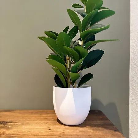 Apartment Vernia